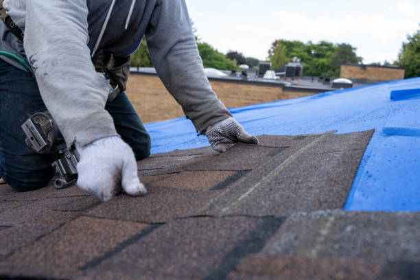 Best Roof Gutter Cleaning  in Concord, CA