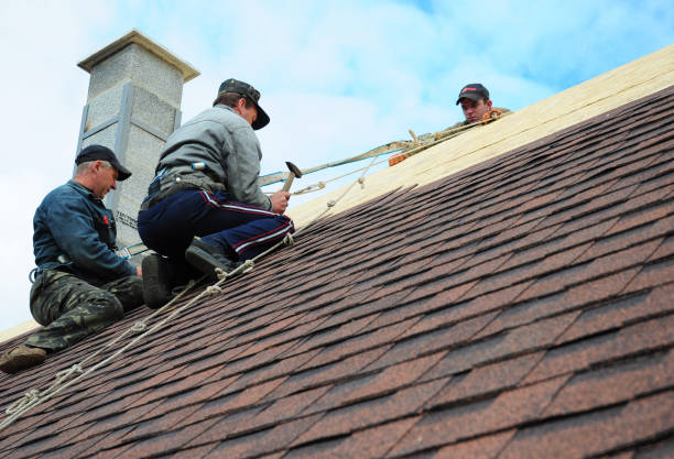 Professional Roofing Contractor in Concord, CA